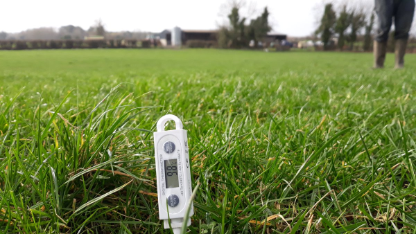 Temperature Factors for Lawn Fertilization